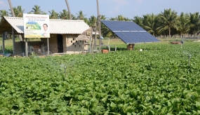 පුත්තලම දිස්ත්‍රික්කයේ කෘෂිකාර්මික ක්ෂේත්‍රයට විකල්ප බලශක්ති හඳුන්වාදීමේ සූර්ය බලශක්ති ජල පොම්ප වැඩ සටහන සාර්ථකයි