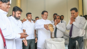 ගොවි ආර්ථිකය ශක්තිමත් කිරීමට සියලු පියවර ගන්නවා- ජනපති