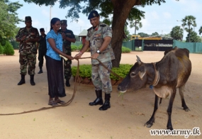 මුලතිව් සෙබළුන්ගෙන් සිවිල් වැසියන් හට කිරි ගවයන් බෙදා දීමක්