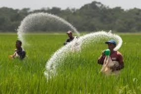 මහ කන්නයේ පොහොර මිලදී ගැනීමට රුපියල් මිලියන 7,000 ක් නිකුත් කෙරේ