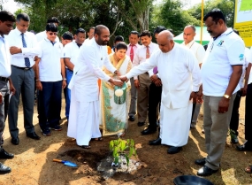 ගිණිසීරියා ඉන්ධනයක් ලෙස භාවිත කිරීමේ ජාතික වැඩසටහන ආරම්භ වෙයි