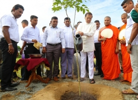 2019 වසර අවසන් වන විට පැල කෝටියක් සිටුවා අවසන් කරනවා- භූ විද්‍යා සමීක්ෂණ හා පතල් කාර්යාංශයේ සභාපති