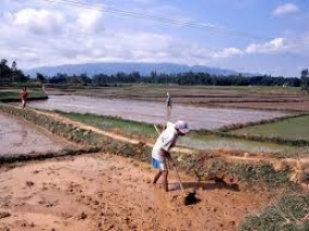 ගාල්ල දිස්ත්‍රික්කයේ පුරන් කුඹුරු අස්වැද්දීමට රුපියල් මිලියන 16 ක්