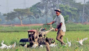 මාතර - තෙලිජ්ජවිල පැවති දක්ෂිණ කෘෂි නවෝදය සාර්ථකව අවසන්