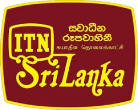 දිවි නැගුමට රන්බිම - අද බද්ධ පලතුරු පැළ නිෂ්පාදනය ගැන