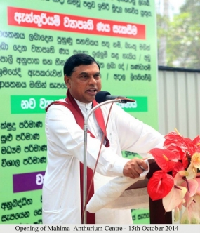 දිවි නැගුම නිසා කාන්තාවන්ට තම පවුල රකිමින් ගෘහයට ශක්තියක් වීමට හැකි වුණා