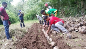 ජාතික පොල් වගාකිරීමේ වැඩසටහන සඳහා යුද්ධ හමුදාවේ දායකත්වය