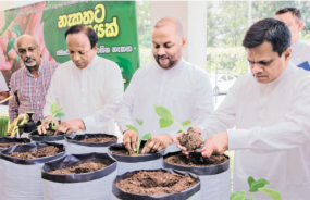 ජාතික පැළ සිටුවීමේ නැකත හෙට