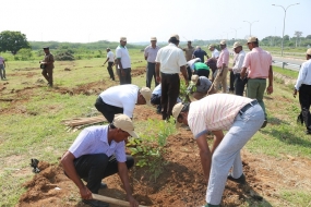 වනරෝපා වැඩසටහන- හම්බන්තොට නාගරික ප්‍රදේශයේ සිදු කරයි