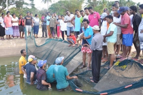 ගම්පහ දිස්ත්‍රික් ධීවර ස්වයං රැකියාකරුවන්ට විශේෂ පුහුණුවක්