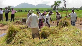 එළැඹෙන මහ කන්නයට අනුරපුර සැරසෙයි