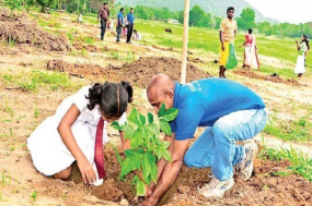 “ගතට සිසිලක් ලබන්නට සිතට සුවයක් දැනෙන්නට නිරෝගී දිවියකට ආවඩා සුරතින්ම ඉන්දමු ලියතුරැ සොබනා”