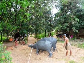 ‘අපේ ගම‘ සංවර්ධනයට රු. මි. 300ක් වෙන් කෙරේ