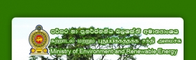 දේශීය මැණික් පතල් කර්මාන්තකරුවන් සුරැකීමට කඩිනම් පියවර