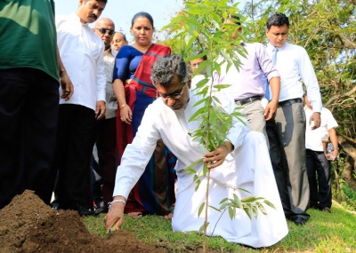 ගෙවතු පැල ලබාදීම විධිමත් කළයුතුයි  - අමාත්‍ය චම්පික රණවක