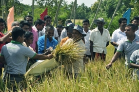 කාබනික කෘෂිකර්මාන්තයේ යෙදෙන ගොවීන් දිරිමත් කිරීමට මහකන්නයේ සිට හෙක්ටෙයාර් එකකට රු.18,000ක මුදලක්