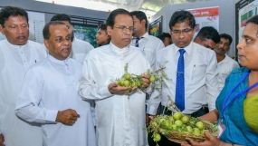 “Harvest 2018” නවීන කෘෂිකාර්මික ප්‍රදර්ශනය ජනපති අතින් විවෘත කෙරේ