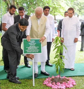 ශ්‍රී ලංකා සංචාරය සටහන් කරමින් දියරතඹල පැළයක් රෝපණය කරයි