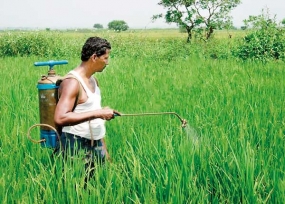 කෘමිනාශක ආනයන බලපත්‍ර ගාස්තුව ඉහළට