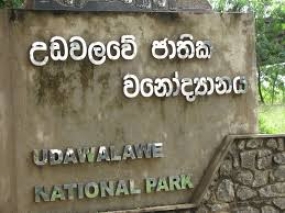 2017 දී උඩවළව ජාතික උද්‍යානයෙන් මිලියන 358කට අධික ආදායමක්